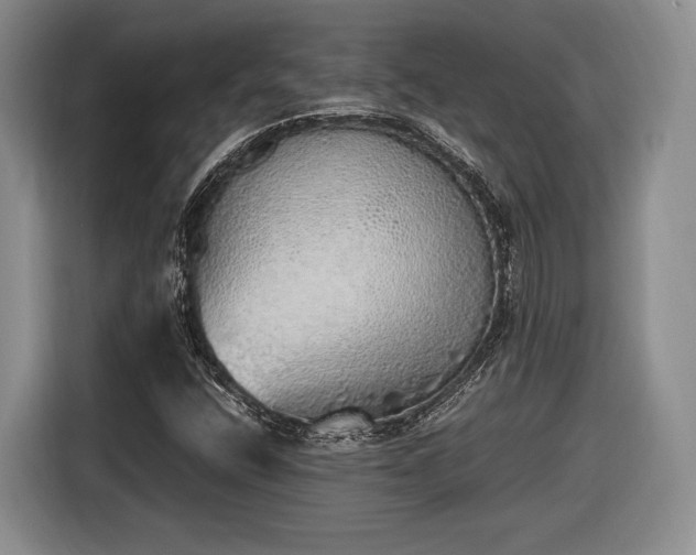 X0000116461400200912161223