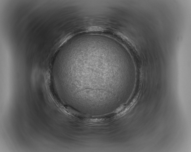 X0000116461401200912161223