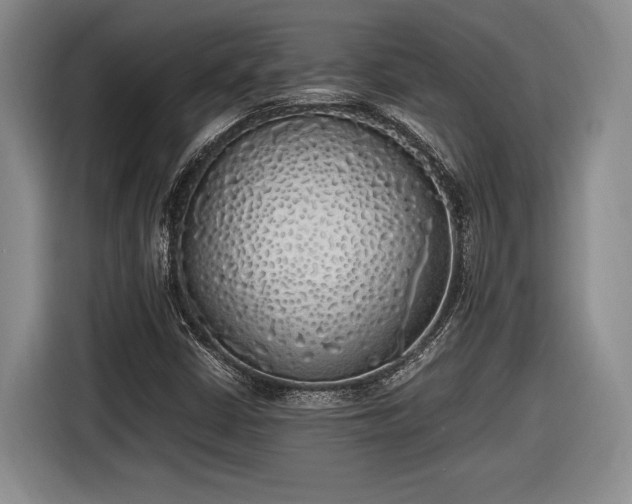 X0000116461402200912161223
