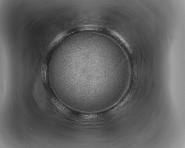 X0000116461403200912161223