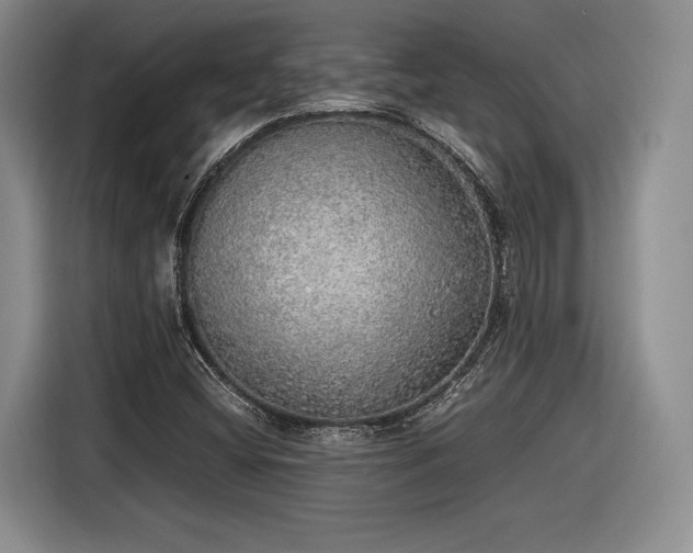 X0000116461404200912161223