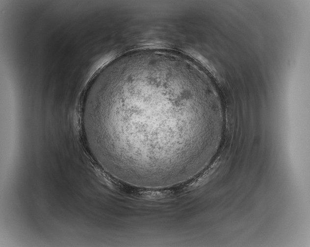 X0000116461405200912161223