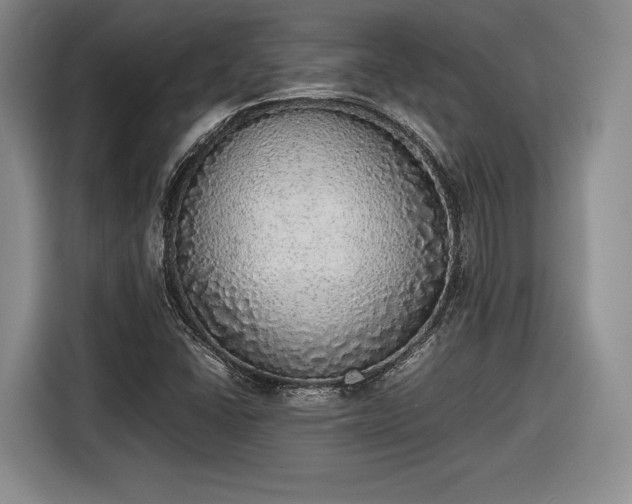 X0000116461406200912161223