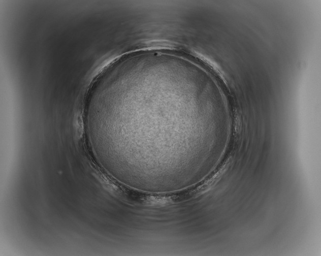 X0000116461407200912161223