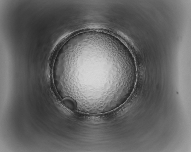 X0000116461408200912161223