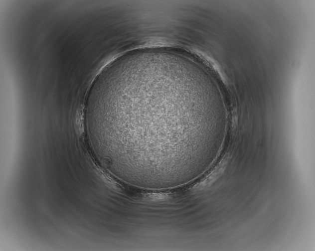 X0000116461409200912161223