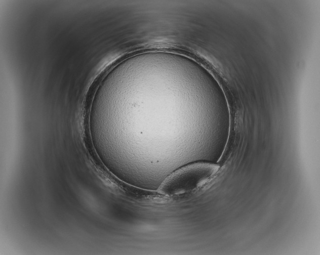 X0000116461410200912161223