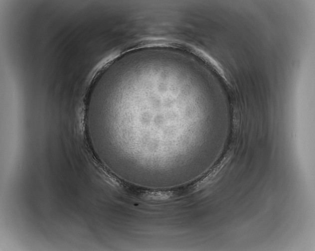 X0000116461411200912161223