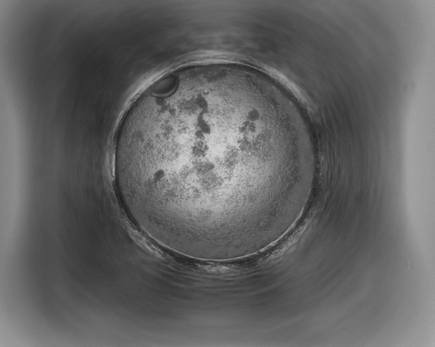 X0000116461413200912161223