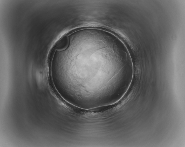 X0000116461414200912161223