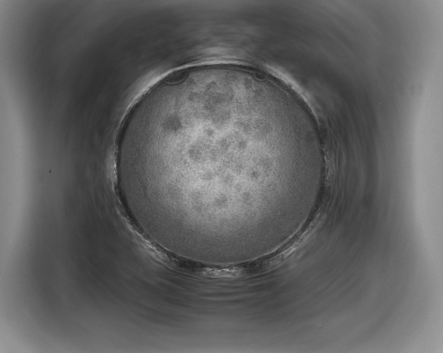 X0000116461415200912161223