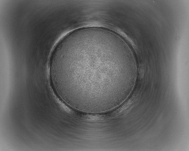 X0000116461416200912161223