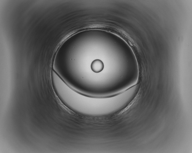 X0000116461417200912161223