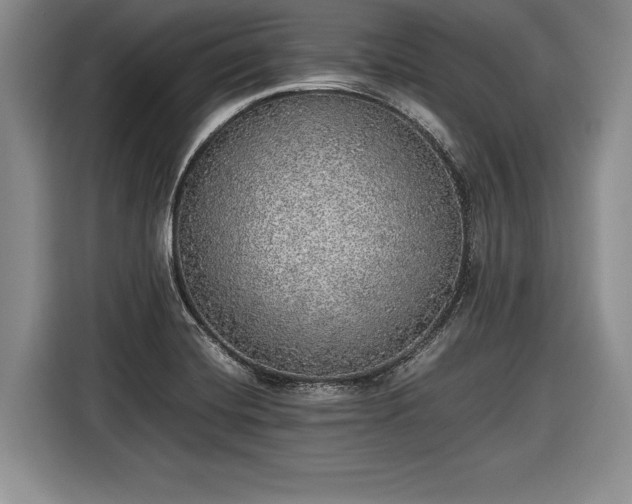 X0000116461420200912161223