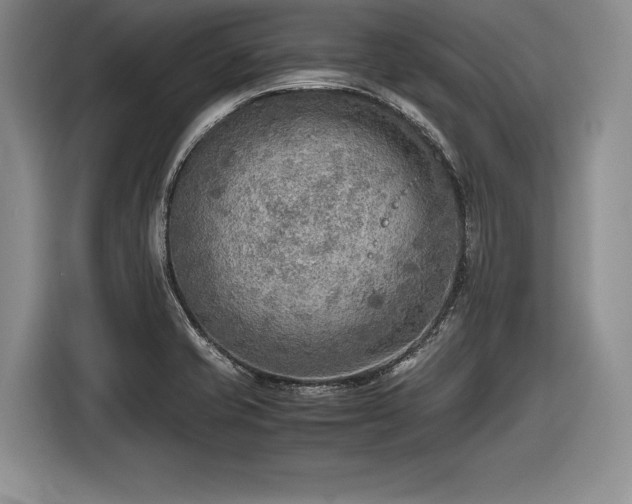 X0000116461421200912161223