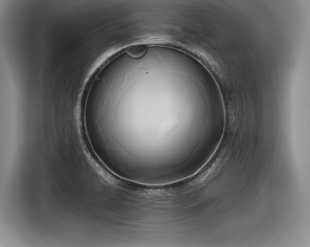 X0000116461422200912161223