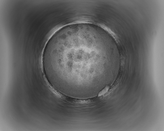 X0000116461423200912161223