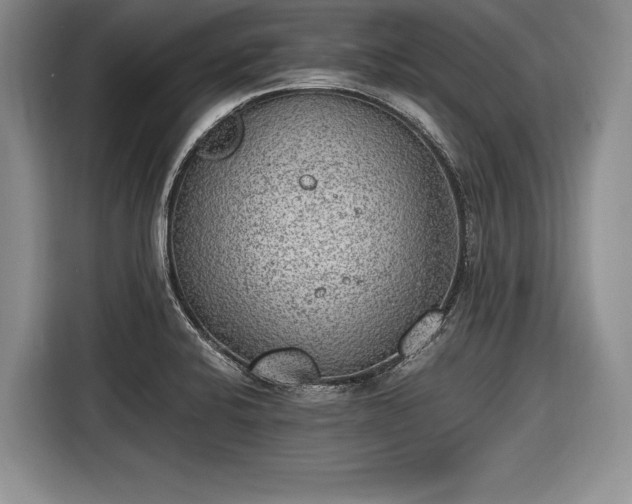 X0000116461424200912161223