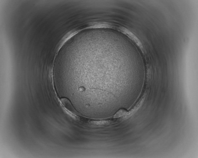 X0000116461425200912161223
