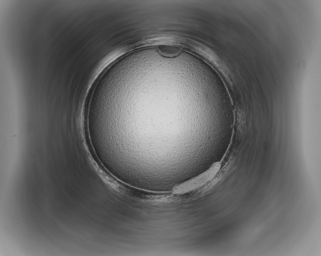 X0000116461426200912161223