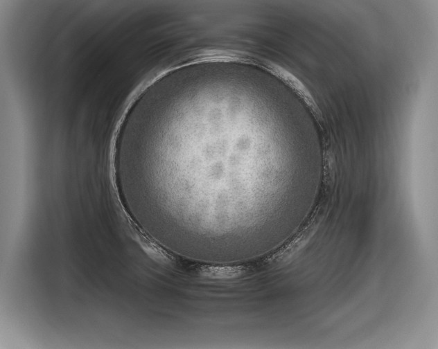 X0000116461427200912161223