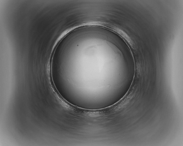 X0000116461428200912161223