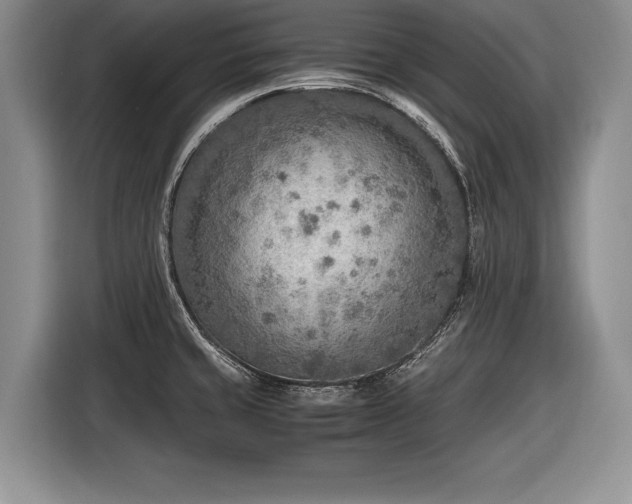X0000116461429200912161223