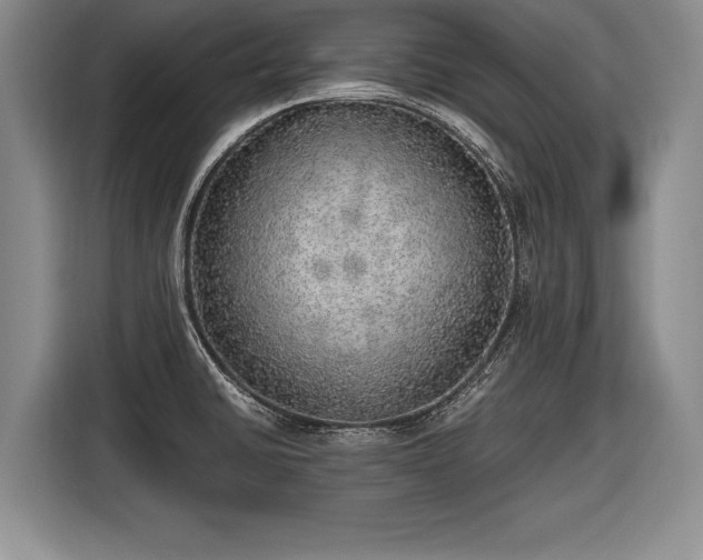 X0000116461430200912161223