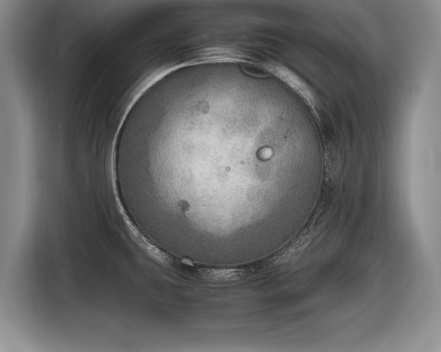 X0000116461431200912161223