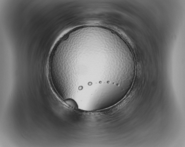 X0000116461432200912161223
