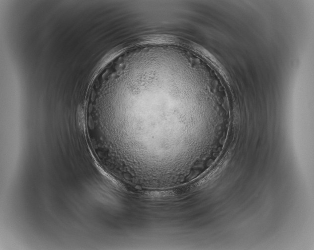 X0000116461433200912161223