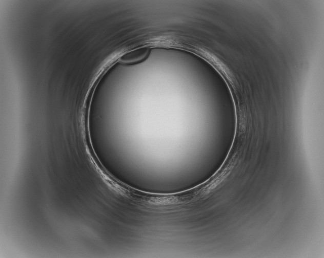 X0000116461434200912161223