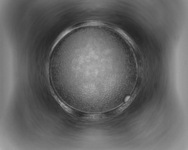 X0000116461438200912161223