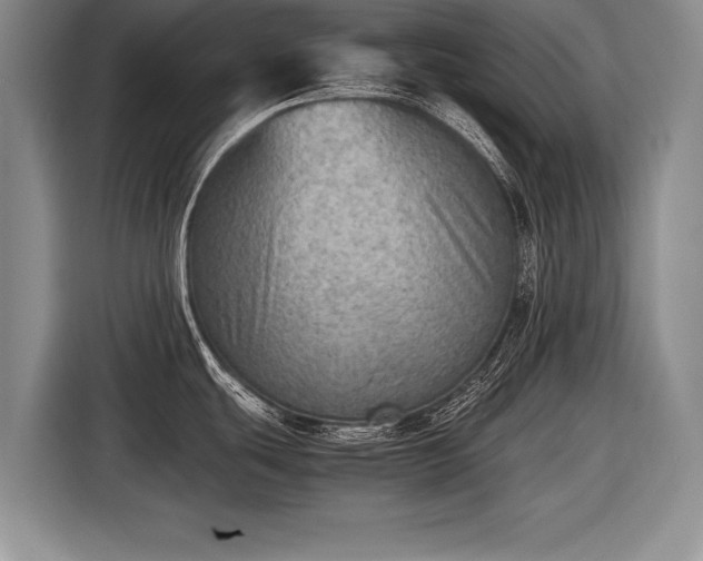 X0000116461439200912161223