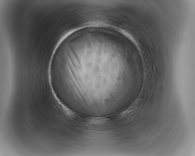 X0000116461440200912161223