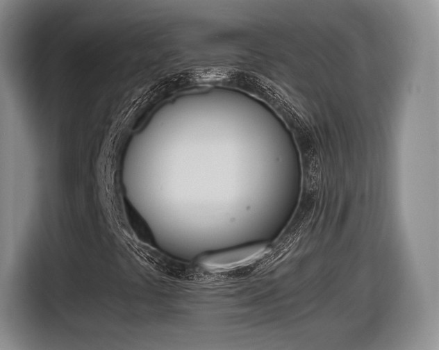 X0000116461441200912161223