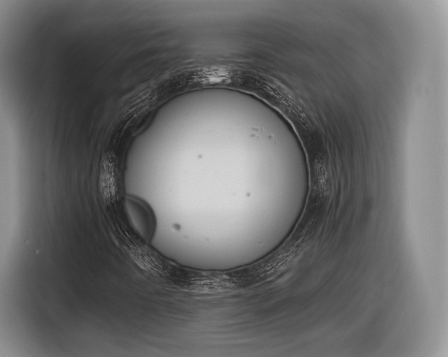 X0000116461442200912161223