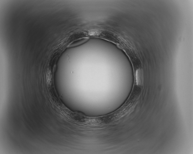 X0000116461443200912161223