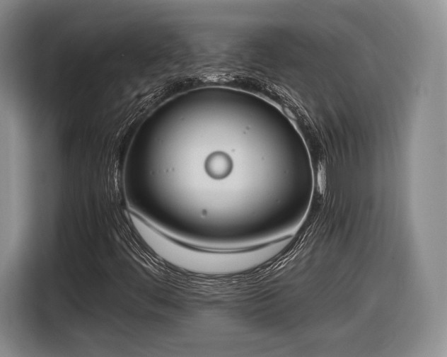X0000116461444200912161223