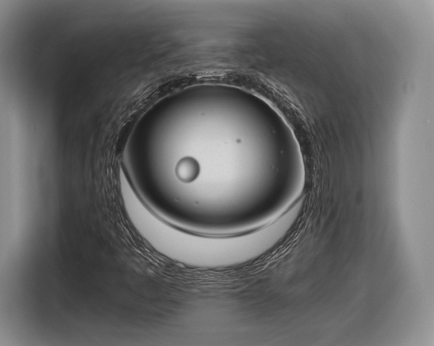 X0000116461445200912161223