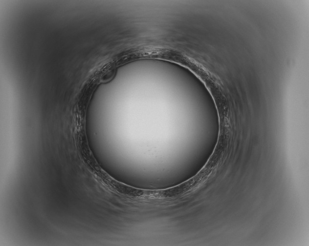 X0000116461447200912161223