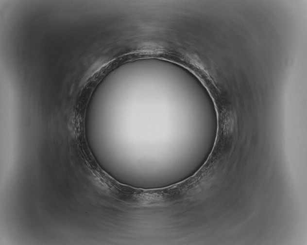 X0000116461448200912161222