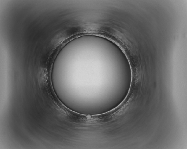 X0000116461449200912161222