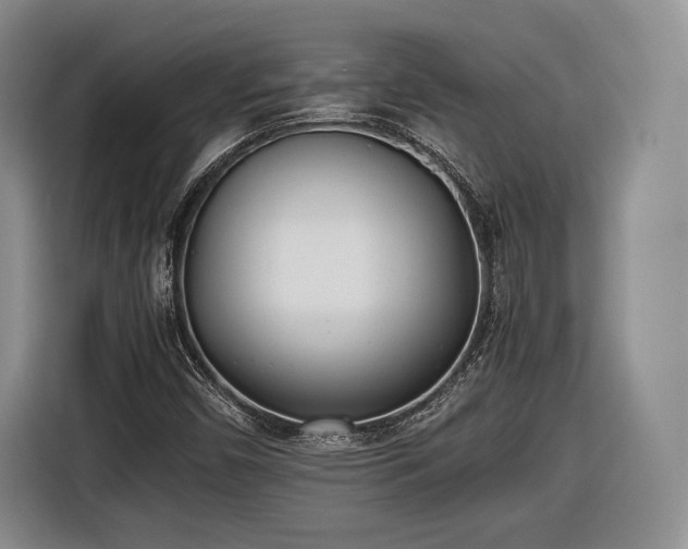X0000116461450200912161222