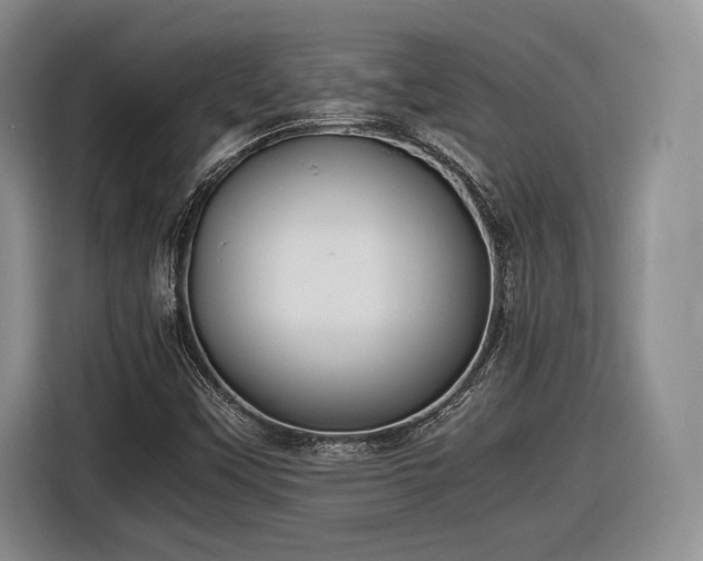 X0000116461451200912161222