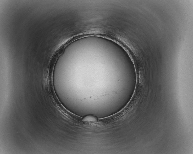 X0000116461452200912161222