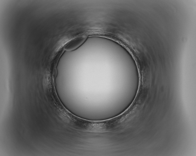 X0000116461453200912161222
