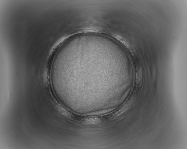 X0000116461454200912161222