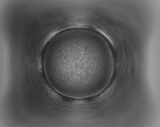 X0000116461455200912161222