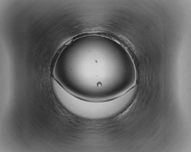 X0000116461457200912161222